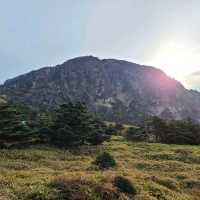 한라산 초보등산코스 - 영실탐방로코스