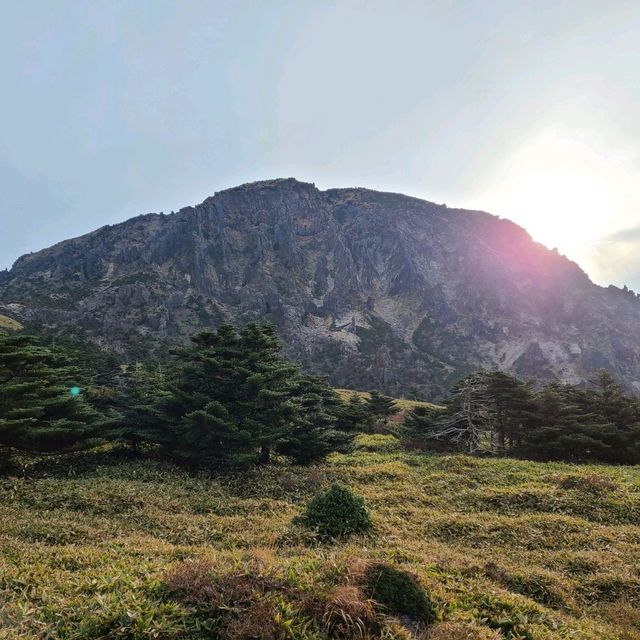 한라산 초보등산코스 - 영실탐방로코스