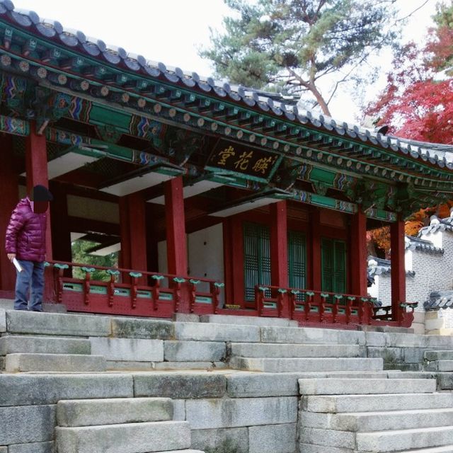 韓國古裝劇的場景｜昌德宮秘院｜讓人彷佛穿越時空的感覺