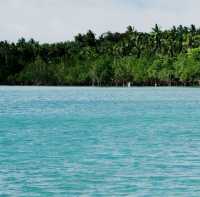 Enjoy the Ocean with Mangroves  in Ragay! 