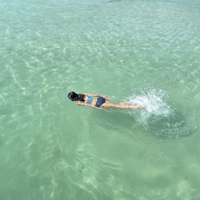 사람 없는 판포포구 가고싶은 사람🙋🏻‍♀️🏝🌴🌊