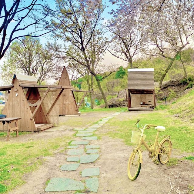 🌷정원카페 - 화성 더포레🌷