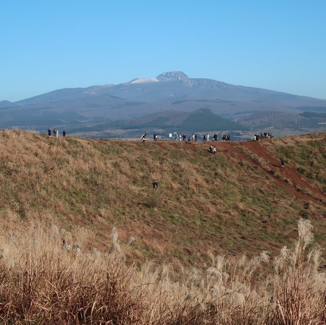 서쪽으로는 협재해변과 비양도, 동쪽으로는 한라산이 보이는 금오름🏔✨