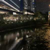 弁慶堀と東京ガーデンテラスのライトアップ🌃