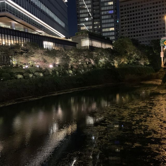 弁慶堀と東京ガーデンテラスのライトアップ🌃