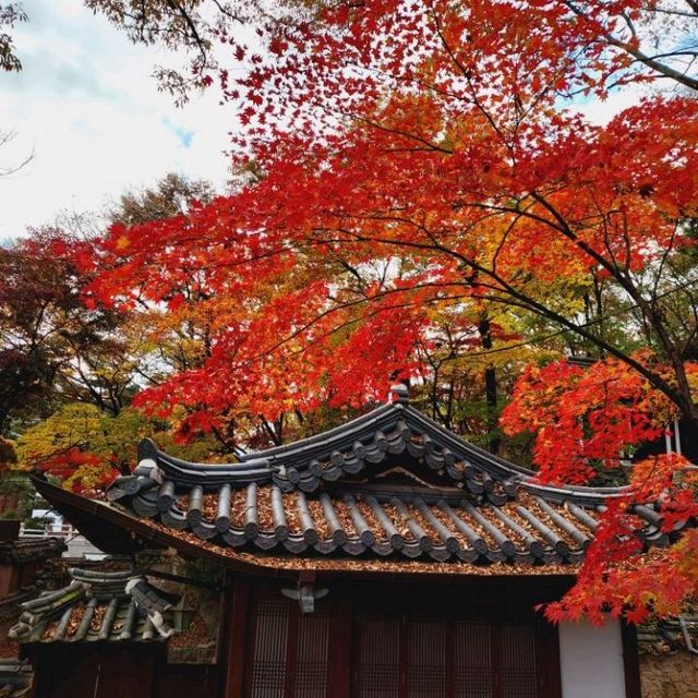 Autumn Foliage at Gilsang Temple