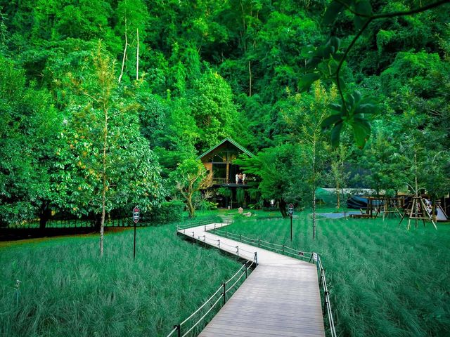 คาเฟ่ลับ ในป่า In to the forest