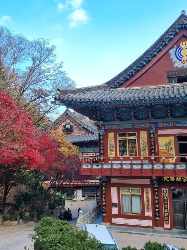 일본에 온 거 같은 단양 구인사