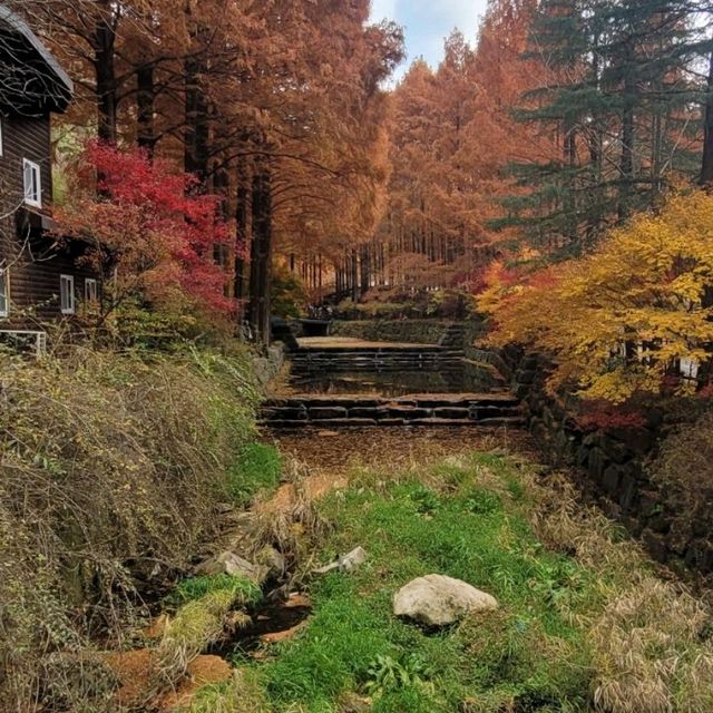 Recreational Forest Recreational Forest