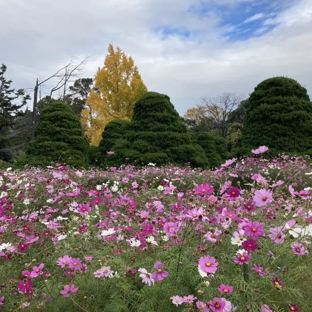 京都市　京都府立植物園