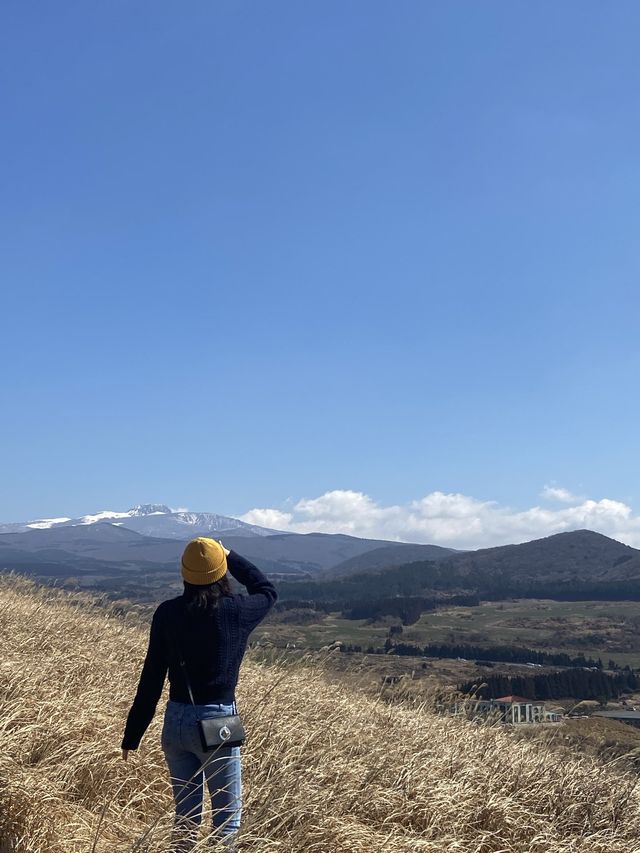 한라산이 보이는 제주도 새별오름 🌾