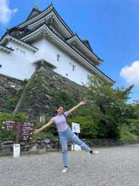 Visiting the Wakayama Castle