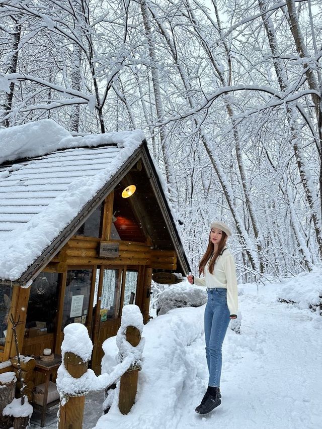 금방이라도 요정이 나올 것 같은 닝구르테라스🧚🏻