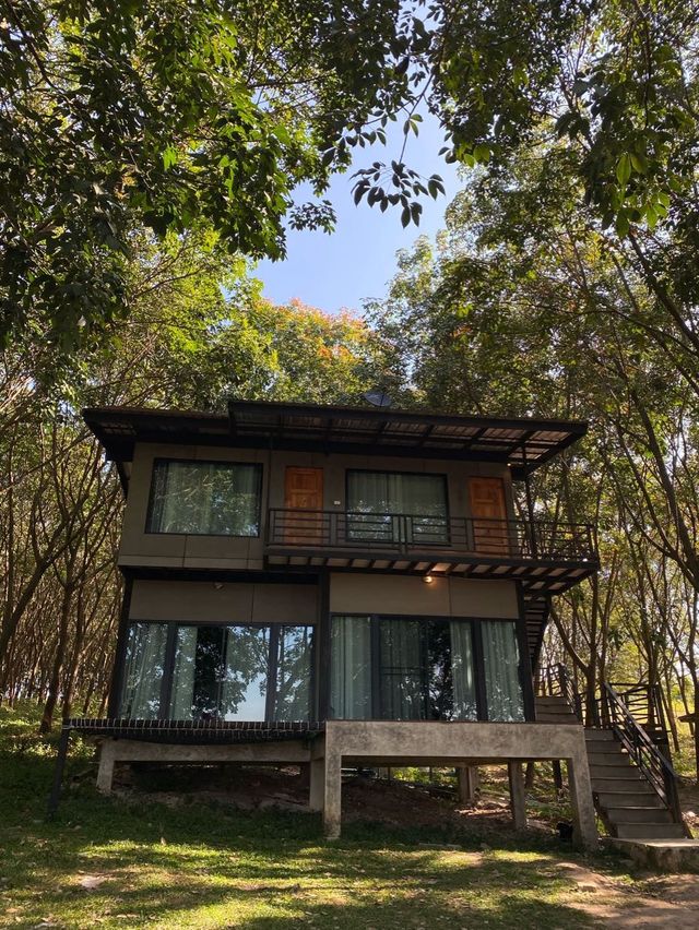 ภูผาหมอก@byขุนแวะ 🏕️🏕️ 