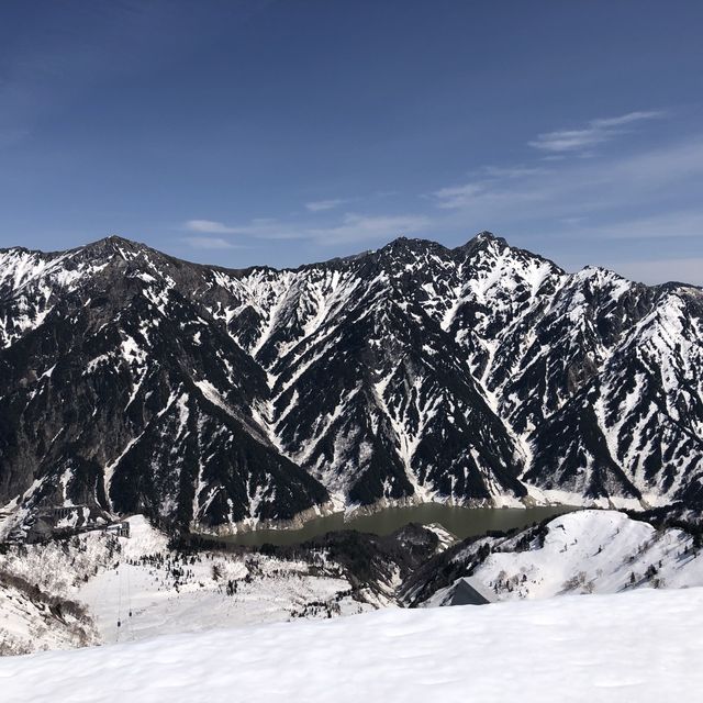 富山のアルペンルトです。