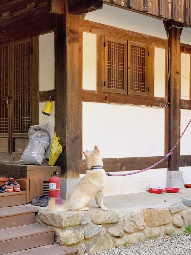 폭포가 흐르는 寺