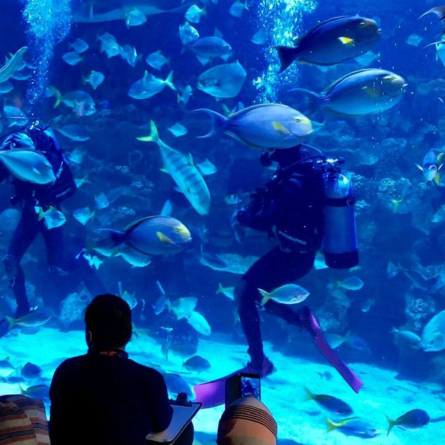 Aquaria 吉隆坡水族館