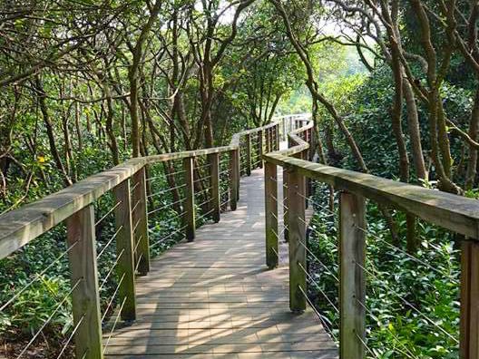 超有教育意義的濕地公園