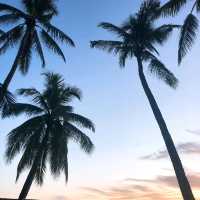 보라카이 화이트비치의 노을 🧡💛🏝