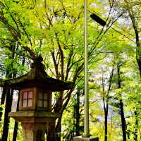 紅葉の飛騨高山の日枝神社