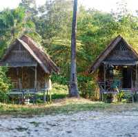 ลมทะเลพัดพามา