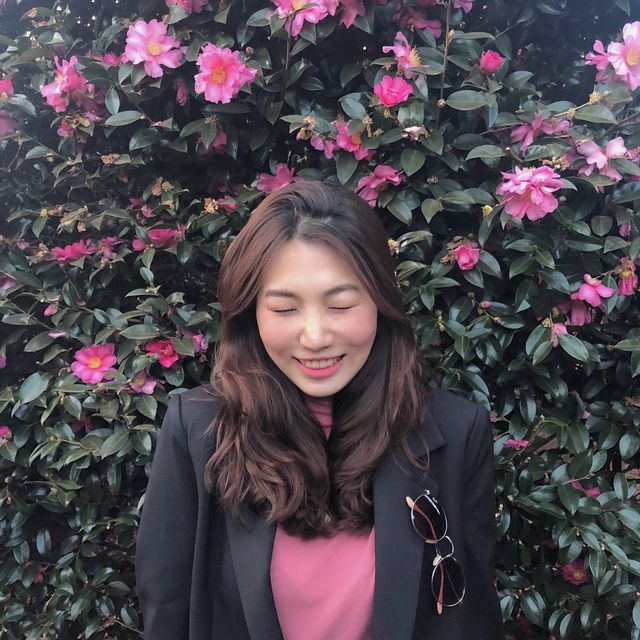 겨울 동백꽃은 제주에서🌺 제주 포토스팟 위미리 동백군락지