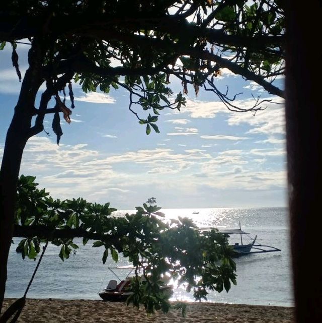Matabungkay Island Hopping ❤️