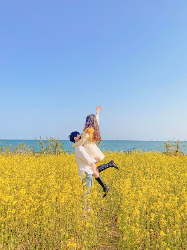 바다가 보이는 넓은 유채꽃밭, 울산 슬도에서 두 마리 토끼잡기