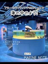 【兵庫】映えすぎる最新水族館『atoa』潜入レポ
