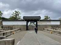 【大阪城公園】天守閣はもちろんお花見、お散歩なんでもできる