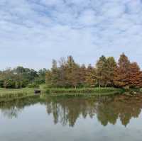 濕地公園