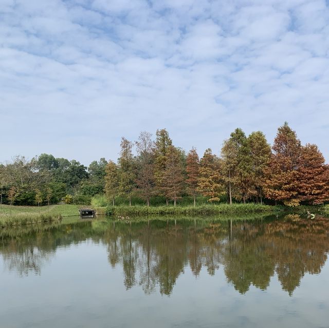 濕地公園 濕地公園
