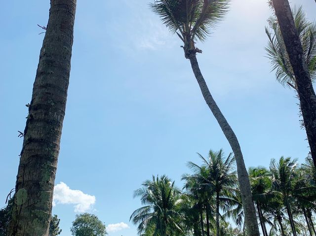 ทะเลใต้ สวยสด มรกตอันดามัน 