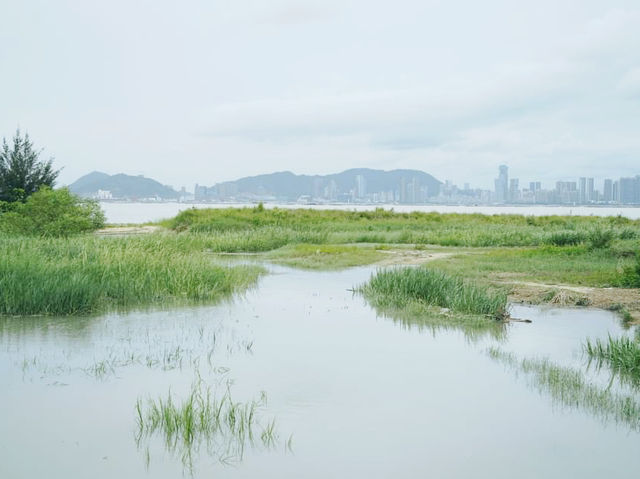 下白泥