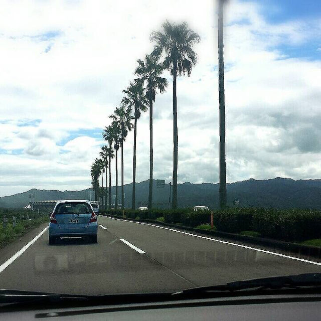 【宮崎県】7体のモアイが放つパワーを日南で感じる！