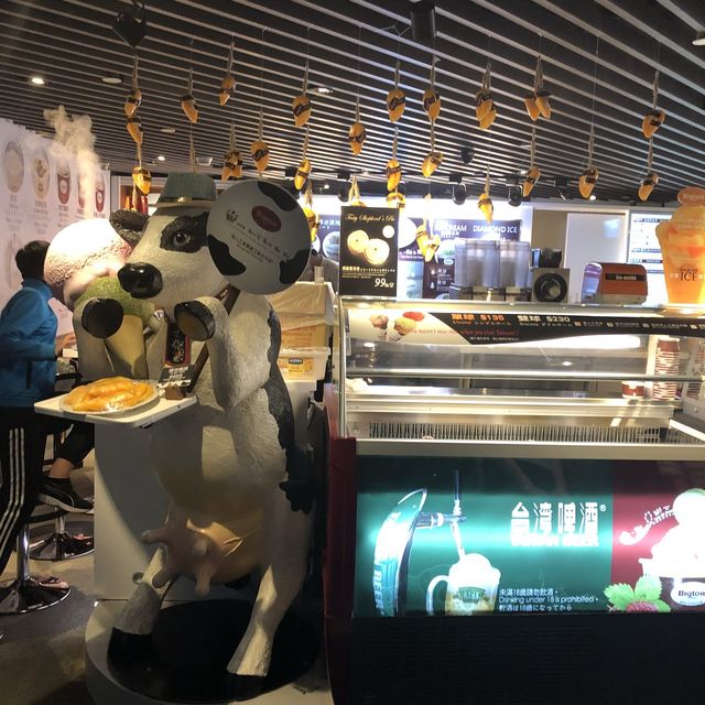 대만 타이베이를 한 눈에! 타이베이 101 