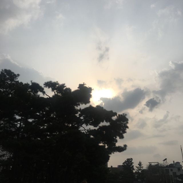 천안 쌍용공원, 강아지들아 모여라~~~ 