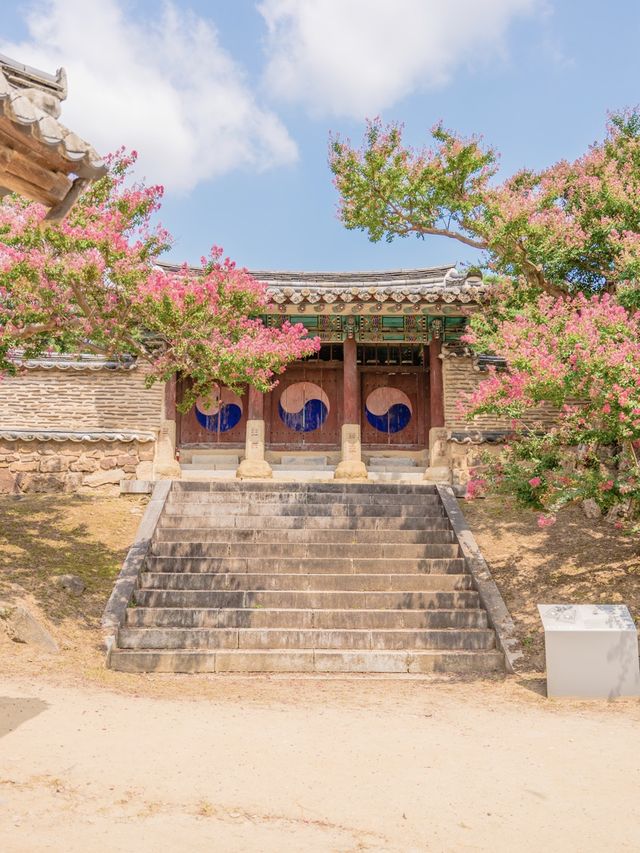 안동을 아직도 안 가봤다고?  