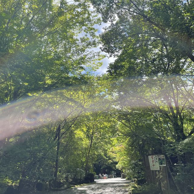 【大分】おんせん県おおいた
