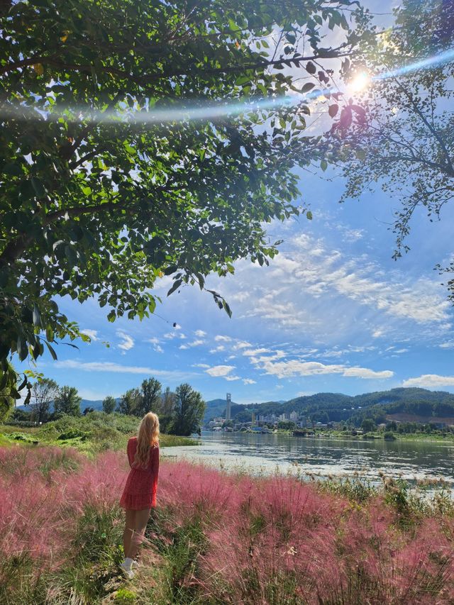 가평 자라섬 꽃구경하기 좋아요🌺💐🌸