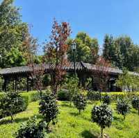 九龍市區玩足一日,有遊樂場/園林公園/歷史遺跡/特色cafe，仲可以有單車俓踏單車😍 