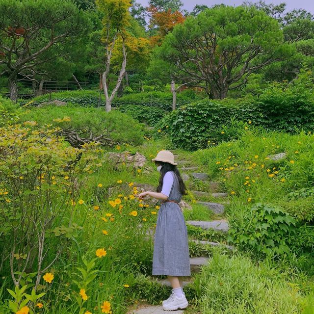 부모님 모시고 가기 좋은 여행 장소 “곤지암 화담숲”