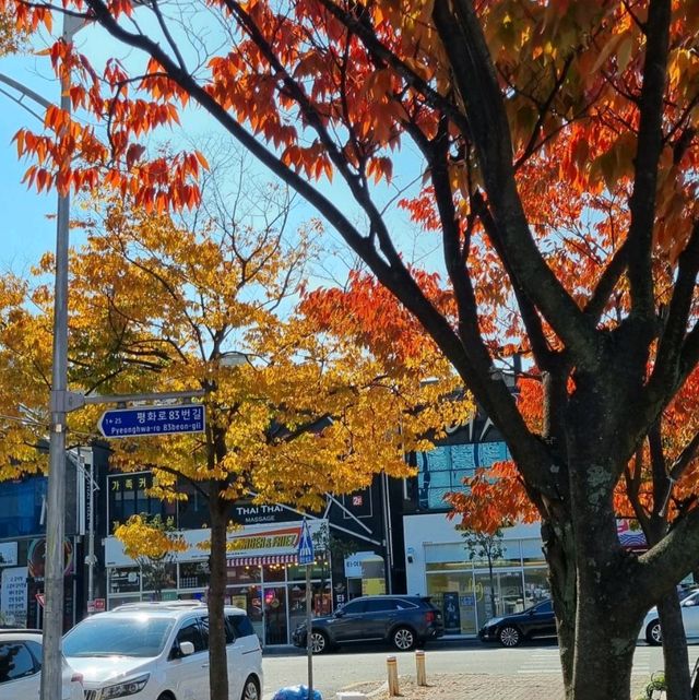 Fall around in Peace Square