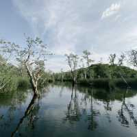 สวนพฤกษศาสตร์…ระยอง