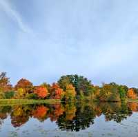 Fall in love with Fall
