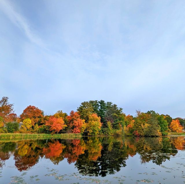 Fall in love with Fall