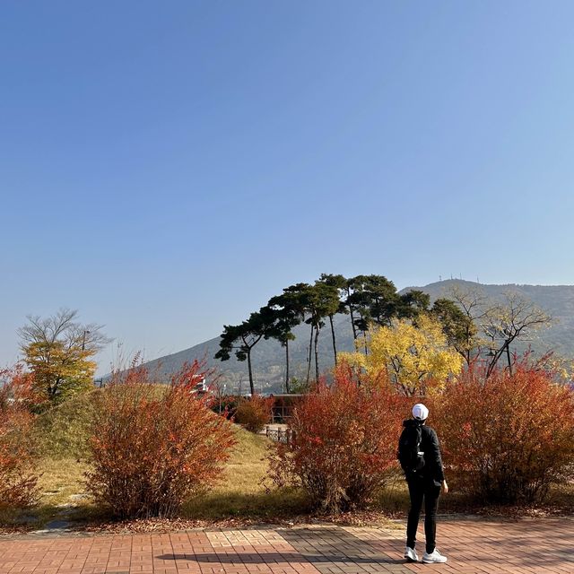 Gyeongju , is a must place to enjoy autumn 🍂