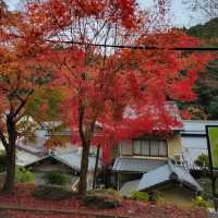 在山上感受天地靈氣｜鞍馬寺