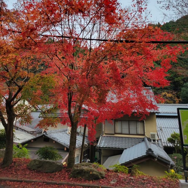 在山上感受天地靈氣｜鞍馬寺
