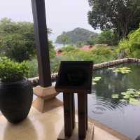 beautiful resort in a lush jungle 